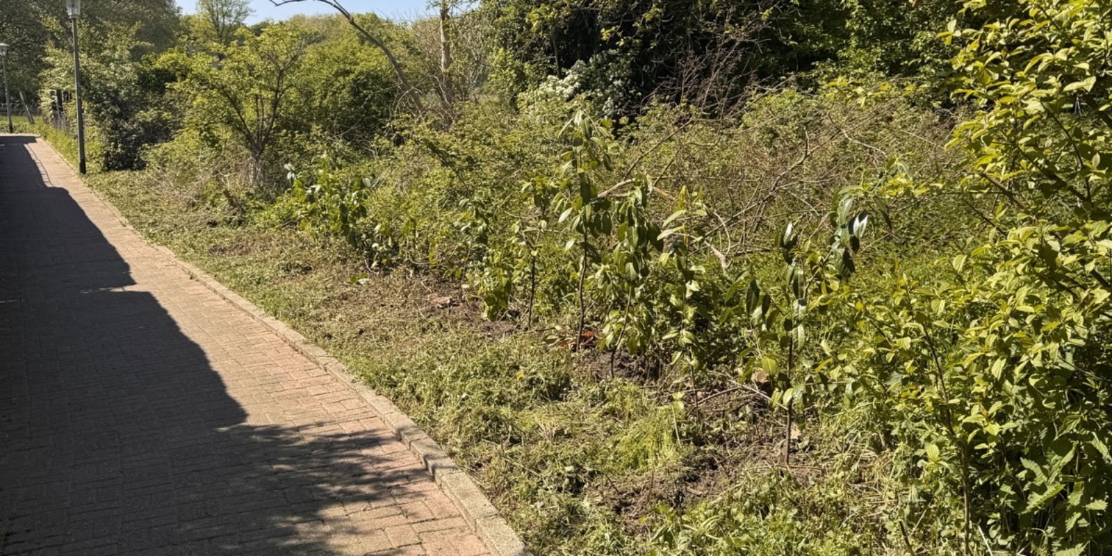 signal-2026-04-25-142125